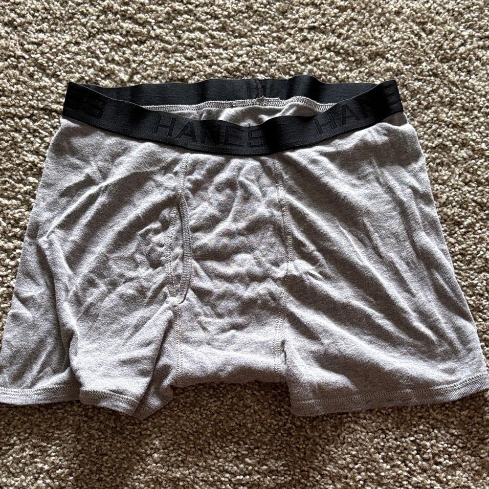 Hanes Light Gray Boxer Briefs for Men